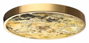 Накладной светильник Odeon Light Bergi 5079/40L в Тобольске - tobolsk.mebel24.online | фото 2