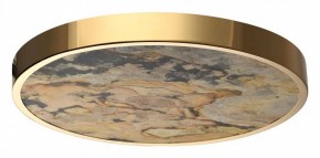Накладной светильник Odeon Light Bergi 5079/40L в Тобольске - tobolsk.mebel24.online | фото 4