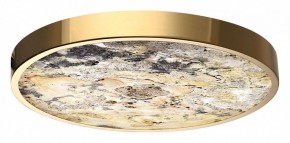 Накладной светильник Odeon Light Bergi 5079/40L в Тобольске - tobolsk.mebel24.online | фото 6