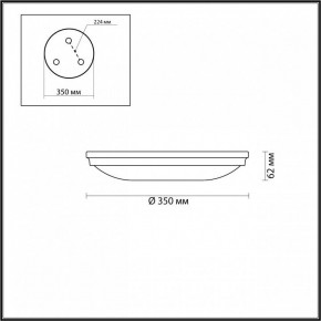 Накладной светильник Odeon Light Pelow 4956/4 в Тобольске - tobolsk.mebel24.online | фото 3