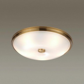Накладной светильник Odeon Light Pelow 4956/5 в Тобольске - tobolsk.mebel24.online | фото 2