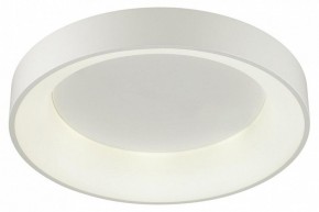 Накладной светильник Odeon Light Sole 4062/50CL в Тобольске - tobolsk.mebel24.online | фото 3