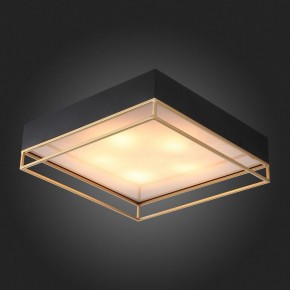 Накладной светильник ST-Luce Chodo SL1127.422.05 в Тобольске - tobolsk.mebel24.online | фото 4