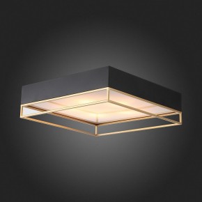 Накладной светильник ST-Luce Chodo SL1127.422.05 в Тобольске - tobolsk.mebel24.online | фото 5