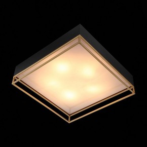 Накладной светильник ST-Luce Chodo SL1127.422.05 в Тобольске - tobolsk.mebel24.online | фото 9