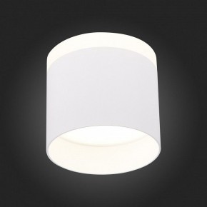 Накладной светильник ST-Luce Panaggio ST102.542.12 в Тобольске - tobolsk.mebel24.online | фото 3