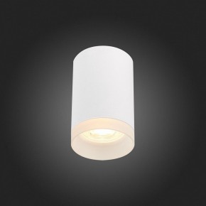 Накладной светильник ST-Luce ST100 ST100.502.01 в Тобольске - tobolsk.mebel24.online | фото 4