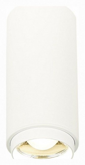 Накладной светильник ST-Luce Zoom ST600.542.10 в Тобольске - tobolsk.mebel24.online | фото 2