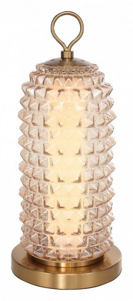 Настольная лампа декоративная ST-Luce SAGUARO SL6144.304.01 в Тобольске - tobolsk.mebel24.online | фото 2