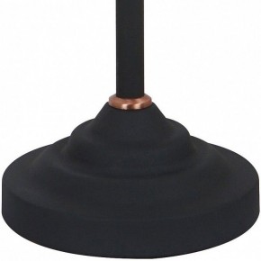 Настольная лампа офисная Arte Lamp Braccio A2054LT-1BK в Тобольске - tobolsk.mebel24.online | фото 4