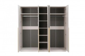 НИКОЛЬ 25 Шкаф 5-ти створчатый в Тобольске - tobolsk.mebel24.online | фото 3