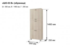 ШО-53 В тумба для обуви в Тобольске - tobolsk.mebel24.online | фото 8
