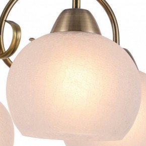Подвесная люстра Arte Lamp Margo A9317LM-5AB в Тобольске - tobolsk.mebel24.online | фото 2