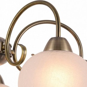 Подвесная люстра Arte Lamp Margo A9317LM-5AB в Тобольске - tobolsk.mebel24.online | фото 3