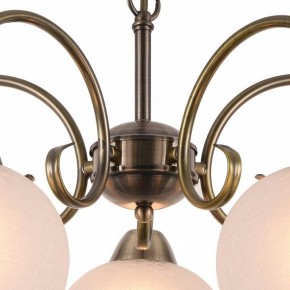 Подвесная люстра Arte Lamp Margo A9317LM-5AB в Тобольске - tobolsk.mebel24.online | фото 4