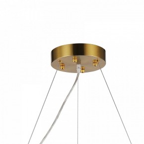 Подвесная люстра Favourite Magnitudo 2206-12P в Тобольске - tobolsk.mebel24.online | фото 7