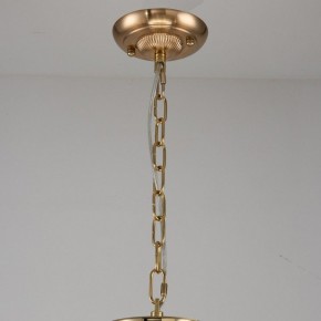 Подвесная люстра Favourite Rocca 2689-9P в Тобольске - tobolsk.mebel24.online | фото 2