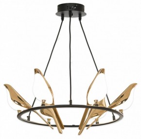 Подвесная люстра Lussole Jasper LSP-8641 в Тобольске - tobolsk.mebel24.online | фото 4