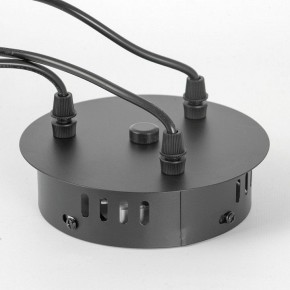 Подвесная люстра Lussole Jasper LSP-8641 в Тобольске - tobolsk.mebel24.online | фото 7