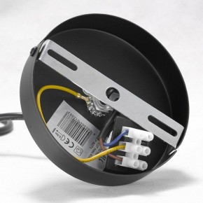 Подвесная люстра Lussole Kenner GRLSP-8271 в Тобольске - tobolsk.mebel24.online | фото 7