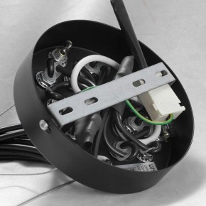 Подвесная люстра Lussole Seneca GRLSP-8177 в Тобольске - tobolsk.mebel24.online | фото 10