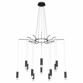 Подвесная люстра Maytoni Davida MOD035PL-12B в Тобольске - tobolsk.mebel24.online | фото 2