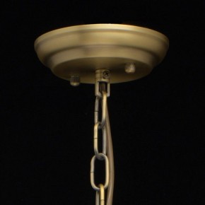 Подвесная люстра MW-Light Альгеро 3 285010703 в Тобольске - tobolsk.mebel24.online | фото 14