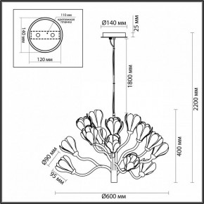Подвесная люстра Odeon Light Gardi 5090/15 в Тобольске - tobolsk.mebel24.online | фото 6