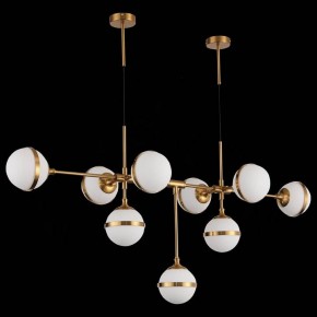 Подвесная люстра ST-Luce Arbe SL1157.303.09 в Тобольске - tobolsk.mebel24.online | фото 4