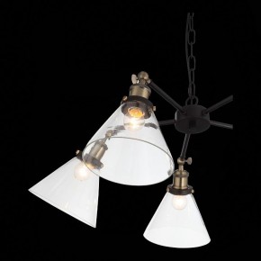 Подвесная люстра ST-Luce Evoluto SL237.413.05 в Тобольске - tobolsk.mebel24.online | фото 7