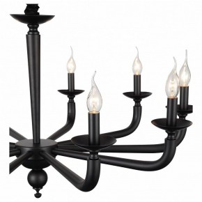 Подвесная люстра ST-Luce SL1114 SL1114.403.10 в Тобольске - tobolsk.mebel24.online | фото 4