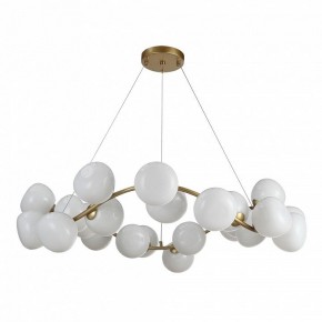 Подвесная люстра ST-Luce Sweven SL1519.303.24 в Тобольске - tobolsk.mebel24.online | фото 2