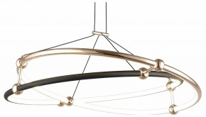 Подвесной светильник Aployt Diana APL.034.03.40 в Тобольске - tobolsk.mebel24.online | фото 1