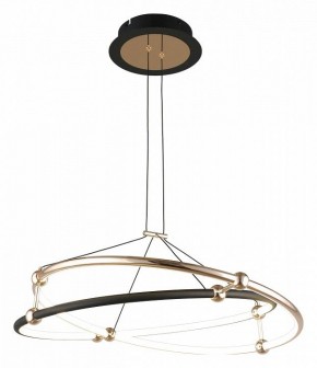 Подвесной светильник Aployt Diana APL.034.03.40 в Тобольске - tobolsk.mebel24.online | фото 2