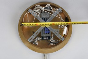 Подвесной светильник Aployt Monisia APL.020.03.243 в Тобольске - tobolsk.mebel24.online | фото 10