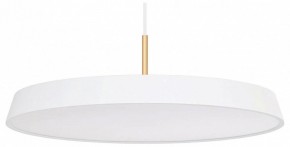 Подвесной светильник Arlight ELEGANT 033924(1) в Тобольске - tobolsk.mebel24.online | фото