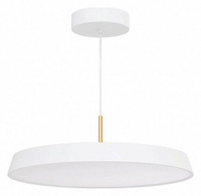 Подвесной светильник Arlight ELEGANT 033924(1) в Тобольске - tobolsk.mebel24.online | фото 2