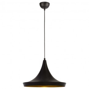 Подвесной светильник Arte Lamp Capello A3406SP-1BK в Тобольске - tobolsk.mebel24.online | фото 2