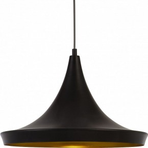Подвесной светильник Arte Lamp Capello A3406SP-1BK в Тобольске - tobolsk.mebel24.online | фото 3