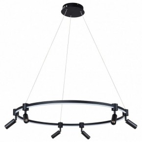 Подвесной светильник Arte Lamp Ring A2186SP-1BK в Тобольске - tobolsk.mebel24.online | фото 2