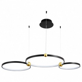 Подвесной светильник Divinare Amadeo 1123/04 SP-75 в Тобольске - tobolsk.mebel24.online | фото