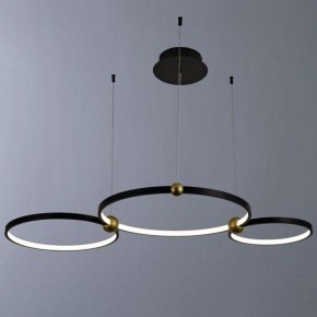 Подвесной светильник Divinare Amadeo 1123/04 SP-75 в Тобольске - tobolsk.mebel24.online | фото 2