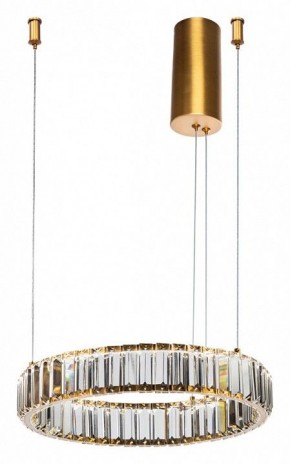 Подвесной светильник Divinare Renata 1135/17 SP-25 в Тобольске - tobolsk.mebel24.online | фото 2