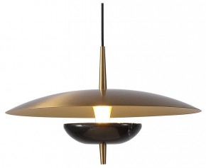 Подвесной светильник Favourite Marmo 4246-1P в Тобольске - tobolsk.mebel24.online | фото