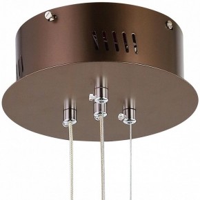 Подвесной светильник Favourite Saturn 2102-2P в Тобольске - tobolsk.mebel24.online | фото 5