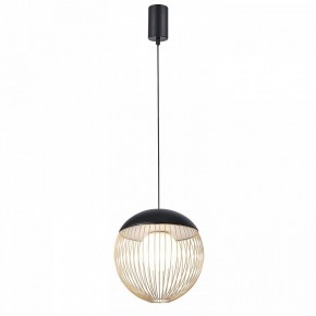 Подвесной светильник Favourite Сore 4240-1P в Тобольске - tobolsk.mebel24.online | фото