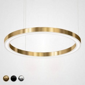 Подвесной светильник Imperiumloft Light Ring Horizontal 40.1454-100 в Тобольске - tobolsk.mebel24.online | фото