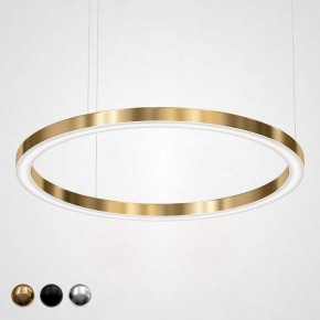 Подвесной светильник Imperiumloft Light Ring Horizontal 40.1454-120 в Тобольске - tobolsk.mebel24.online | фото