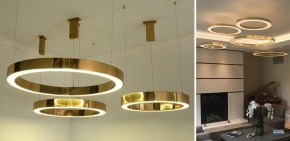 Подвесной светильник Imperiumloft Light Ring Horizontal 40.1454-80 в Тобольске - tobolsk.mebel24.online | фото 2