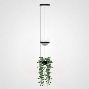 Подвесной светильник Imperiumloft Palma Wall Lamp 22.93727 в Тобольске - tobolsk.mebel24.online | фото